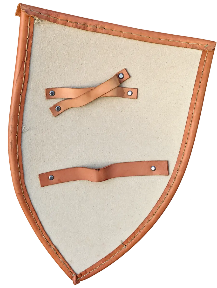Azure Unicorn Shield – angle 2